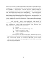 Išsimokslinimo kaita Lietuvoje 11 puslapis