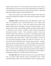 Italijos miestai XVIII amžiuje. Romos rekonstrukcija 5 puslapis