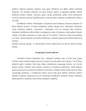 Japonijos švietimo sistema 7 puslapis