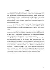 Jaunimo bendruomenė 16 puslapis