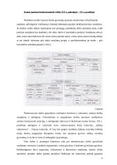 Jaunimo bendruomenė 4 puslapis