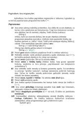 Java programavimo kalba 2 puslapis