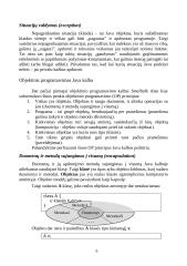 Java programavimo kalba 5 puslapis