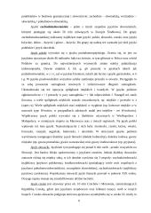 Języki słowiańskie 6 puslapis