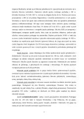 Języki słowiańskie 7 puslapis