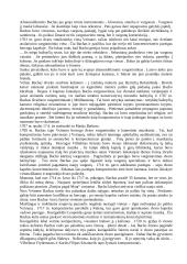 Johanas Sebastianas Bachas (1685 – 1750) 2 puslapis