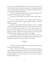 Joninės (Rasos šventės) 9 puslapis