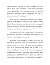 Jose Ortegos y Gaseto modernistinė meno dehumanizavimo koncepcija 8 puslapis