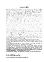 Juozas Naujalis 2 puslapis