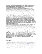 Kasos organas (pancreas) 6 puslapis