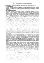 Kelias į Vasario 16-ąją 3 puslapis