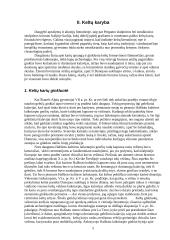 Keltų karyba 5 puslapis