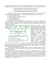 Kineziterapijos poveikis žmogaus organizmo sistemoms 5 puslapis