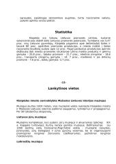 Klaipėdos turizmas 12 puslapis