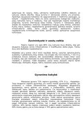 Klaipėdos turizmas 10 puslapis