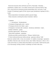 Klasicizmas. W.A. Mocartas 4 puslapis