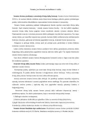 Klasicizmas. W.A. Mocartas 5 puslapis