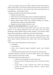 Klasicizmas. W.A. Mocartas 6 puslapis