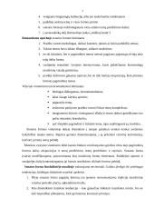 Klasicizmas. W.A. Mocartas 7 puslapis