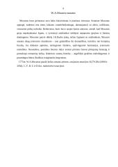 Klasicizmas. W.A. Mocartas 9 puslapis