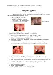 Kojų grybelis 3 puslapis