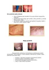 Kojų grybelis 4 puslapis