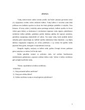 Komunikacijos sutrikimai 2 puslapis