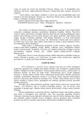 Kūčių tradicijos Lietuvoje 11 puslapis