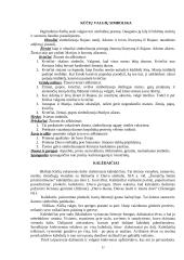 Kūčių tradicijos Lietuvoje 12 puslapis