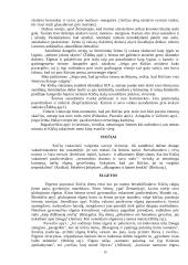 Kūčių tradicijos Lietuvoje 10 puslapis