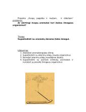 Kvapų pagalba ir mažam, ir dideliam 2 puslapis