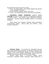 Kvapų pagalba ir mažam, ir dideliam 5 puslapis