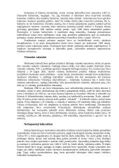 Laiko matavimo kronika 2 puslapis