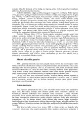 Laiko matavimo kronika 4 puslapis