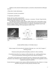 Laimo liga. Epidemiologija. Klinika. Profilaktika 5 puslapis
