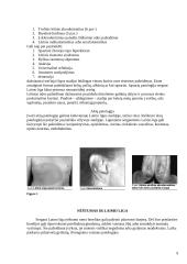 Laimo liga. Epidemiologija. Klinika. Profilaktika 9 puslapis