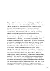 Laisvalaikio samprata viduramžiais 11 puslapis