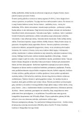 Laisvalaikio samprata viduramžiais 7 puslapis