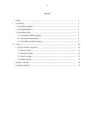 Laisvalaikis ir jo raida 2 puslapis