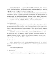 Laisvalaikis ir jo raida 13 puslapis