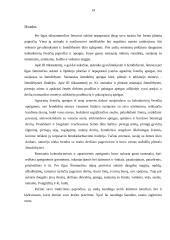 Laisvalaikis ir jo raida 14 puslapis