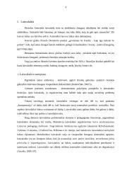 Laisvalaikis ir jo raida 4 puslapis