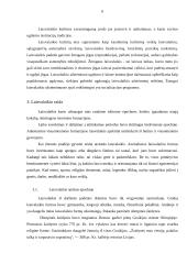 Laisvalaikis ir jo raida 6 puslapis