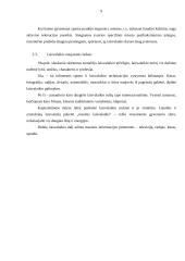 Laisvalaikis ir jo raida 9 puslapis