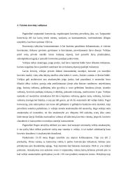 Laivų draudimas ir teisinis krovinių valdymas 5 puslapis