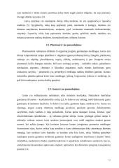 Laivų statyboje naudojamos medžiagos 12 puslapis