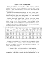 Laivų statyboje naudojamos medžiagos 4 puslapis