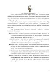 Laivų statyboje naudojamos medžiagos 6 puslapis