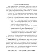 Laivų statyboje naudojamos medžiagos 7 puslapis