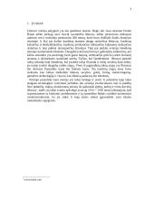 Lėktuvai pirmajame pasauliniame kare: žvalgybiniai, bombonešiai ir kiti 3 puslapis